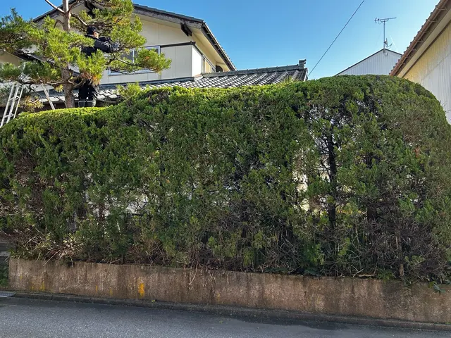 業歴17年の庭園技能士　雪囲いオプション有り！　理想のお庭作りを叶えますサービスの画像