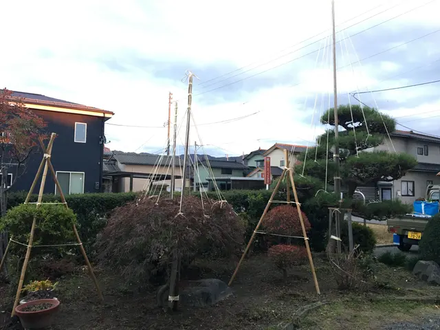 業歴17年の庭園技能士　雪囲いオプション有り！　理想のお庭作りを叶えますサービスの画像