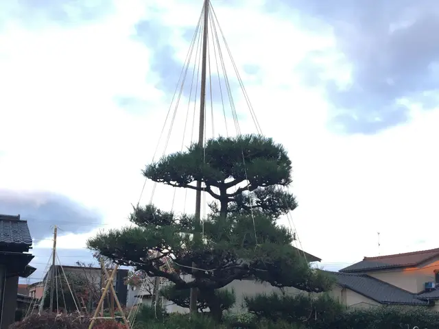 業歴17年の庭園技能士　雪囲いオプション有り！　理想のお庭作りを叶えますサービスの画像