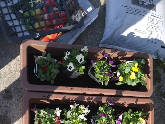 【花屋さんが担当】花苗、鉢植え、放置されていた花壇なども美しく生まれかわります。サービスの画像