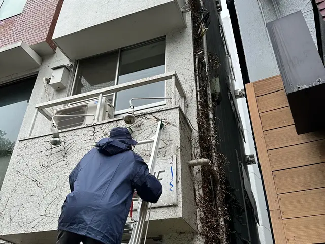 蔦取り除去外観を綺麗に！！サービスの画像