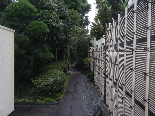 ★庭を彩る上質な庭園管理『庭木の剪定』★中木5m未満専門  ★明月孤峰に登るサービスの画像