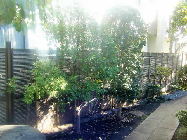 ★庭を彩る上質な庭園管理『庭木の剪定』★中木5m未満専門  ★明月孤峰に登るサービスの画像