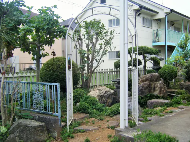 ★庭を彩る上質な庭園管理『庭木の剪定』★中木5m未満専門  ★明月孤峰に登るサービスの画像