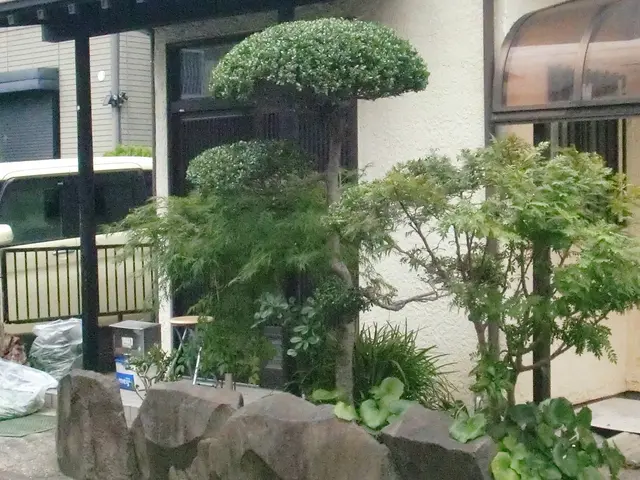 ★庭を彩る上質な庭園管理『庭木の剪定』★中木5m未満専門  ★明月孤峰に登るサービスの画像