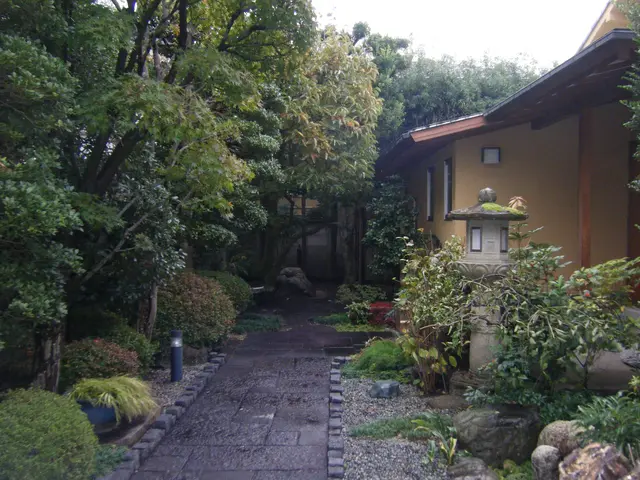 ★庭を彩る上質な庭園管理『庭木の剪定』★中木5m未満専門  ★明月孤峰に登るサービスの画像