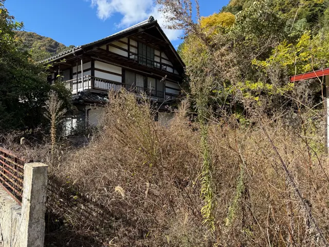 年間、東京ドーム3個分の草取りしています、綺麗な草取りに自信あります迅速丁寧サービスの画像