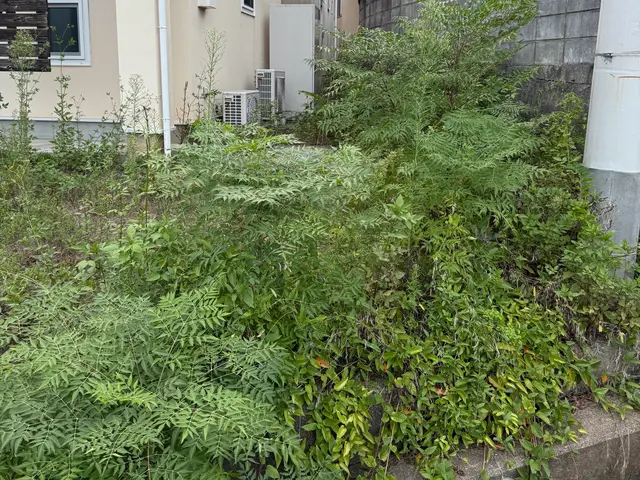 年間、東京ドーム3個分の草取りしています、綺麗な草取りに自信あります迅速丁寧サービスの画像