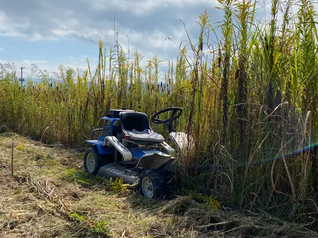 年間、東京ドーム3個分の草取りしています、綺麗な草取りに自信あります迅速丁寧サービスの画像