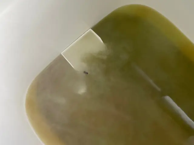 薬剤を独自配合したので、お値打ち価格！サービスの画像