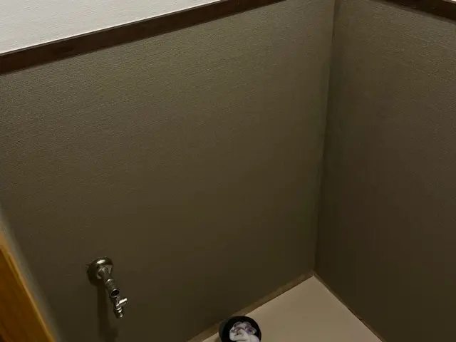 トイレ本体床壁天井パック　お問い合わせ下さいね。サービスの画像