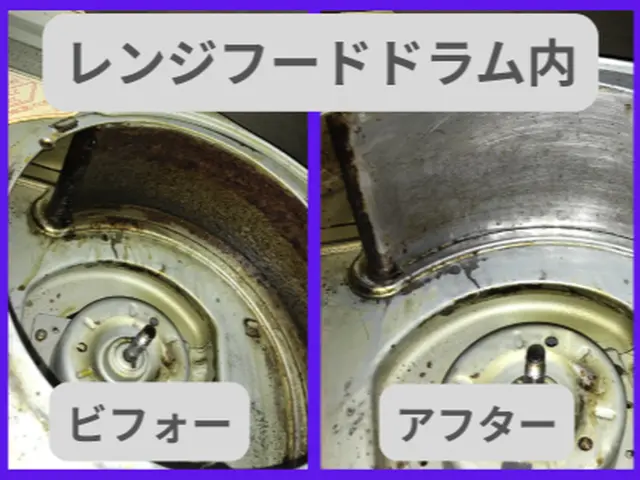 レンジフードクリーニング　ファン・ドラム・フィルター清掃サービスの画像