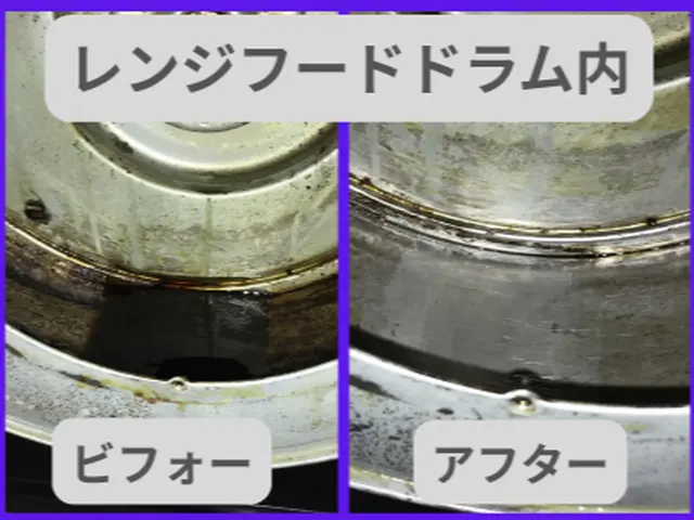 レンジフードクリーニング　ファン・ドラム・フィルター清掃サービスの画像