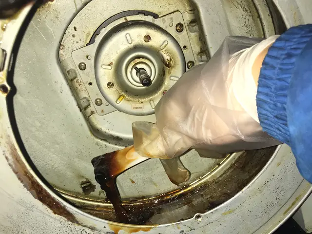 即日対応！年末早割受付中　レンジフードクリーニングサービスの画像