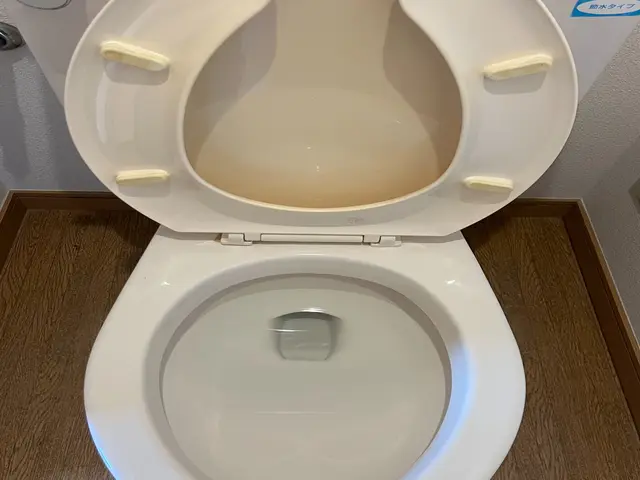 【お年玉セール・平日限定・先着3名様】水回りまとめて徹底洗浄！お得な４点セット★サービスの画像