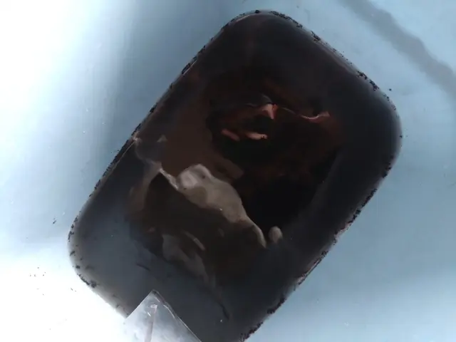 大掃除シーズン到来\\水回り清掃同日がオトク//複数台割引あり【エコ洗剤使用】サービスの画像