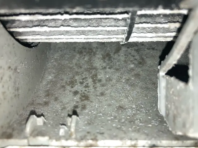 【平日20時以降○】土日に合わせたい方に！消臭抗菌コートサービス中！サービスの画像