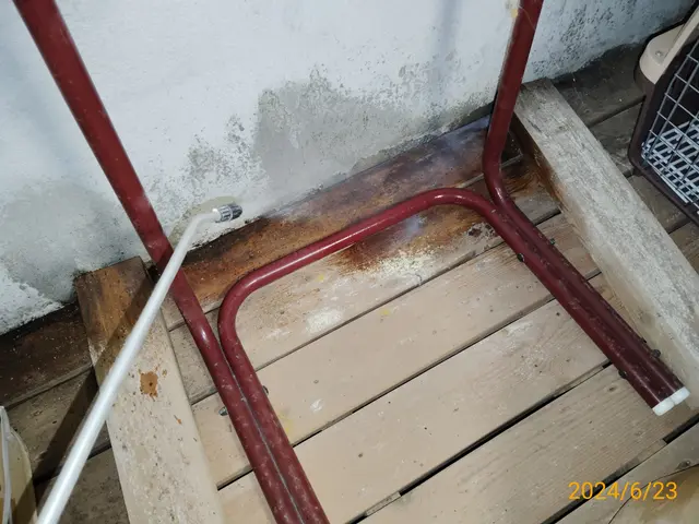 ゴキブリ1頭から対応致します！業歴20年のベテランスタッフが徹底駆除！サービスの画像