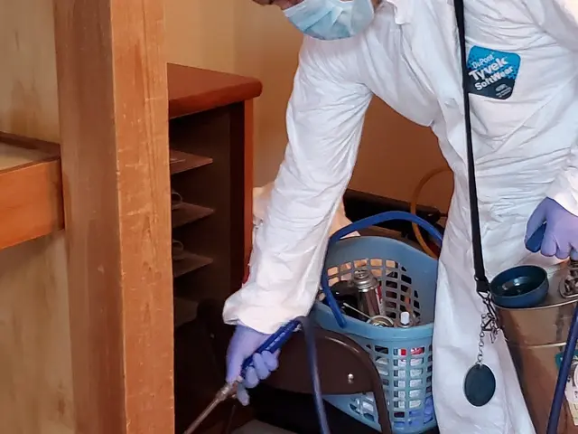 ゴキブリ1頭から対応致します！業歴20年のベテランスタッフが徹底駆除！サービスの画像