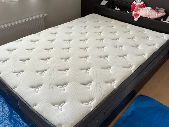 お子様の嘔吐やペットの粗相も対応いたします！汗じみや匂いもスッキリ！サービスの画像