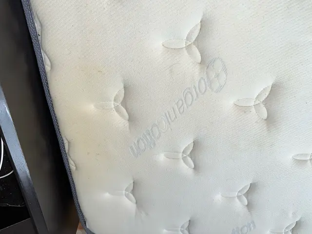 お子様の嘔吐やペットの粗相も対応いたします！汗じみや匂いもスッキリ！サービスの画像