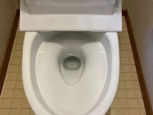 ニオイ・黒ずみゼロへ！プロのトイレ清掃サービスの画像