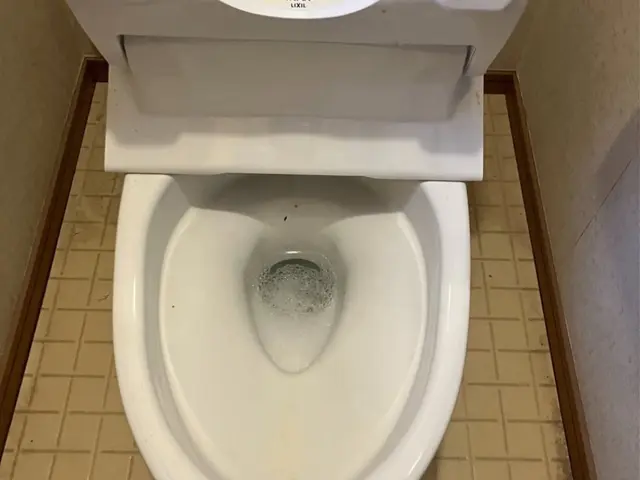 ニオイ・黒ずみゼロへ！プロのトイレ清掃サービスの画像
