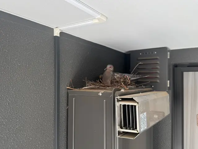 100件以上の実績！大手仕込みの技術で、急なご依頼にも当日対応いたしますサービスの画像