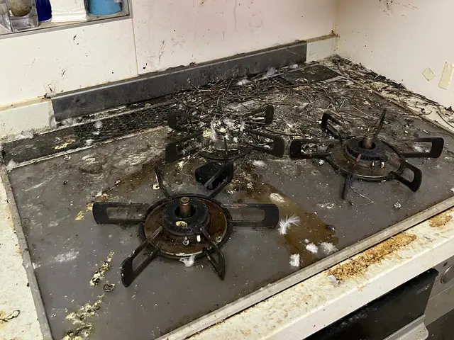 100件以上の実績！大手仕込みの技術で、急なご依頼にも当日対応いたしますサービスの画像