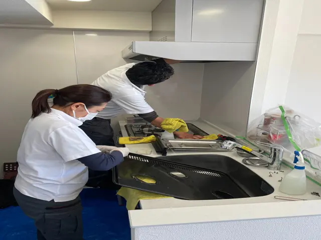 ≪江戸川区発≫大手勤務10年以上・クリンネスト1級等☆お掃除のコツもお尋ね下さいサービスの画像