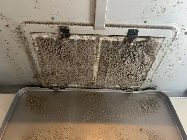 【年間200件以上の作業実績！】頑固な油汚れをしっかり落とします！サービスの画像