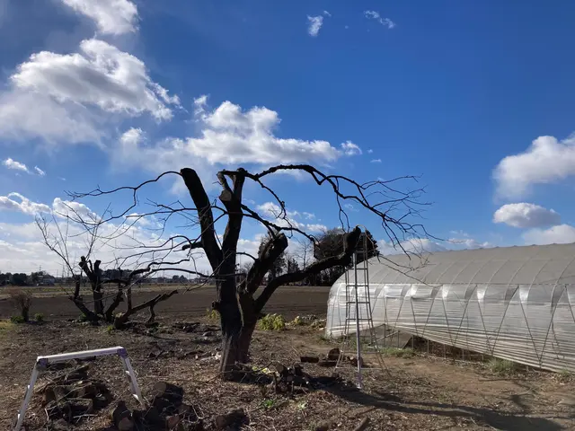 お客様ファースト！地域密着！大手での業務経験も豊富です！サービスの画像