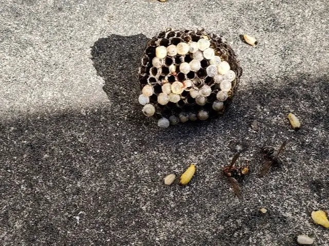 【即日相談可能】◉30年間クレームゼロの法人店舗◉3000件以上の実績有り！サービスの画像