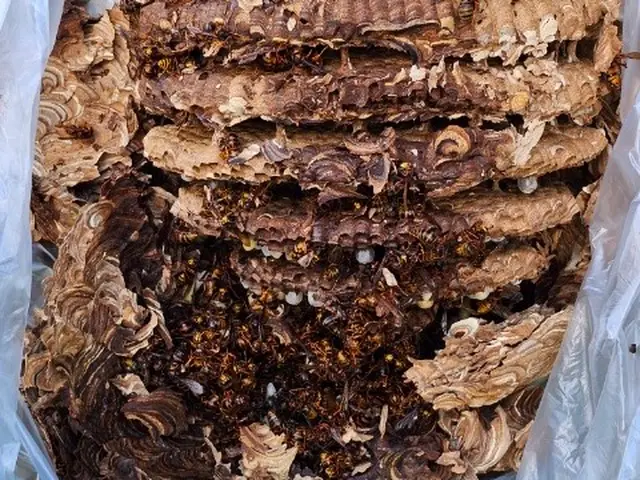 【即日相談可能】◉30年間クレームゼロの法人店舗◉3000件以上の実績有り！サービスの画像