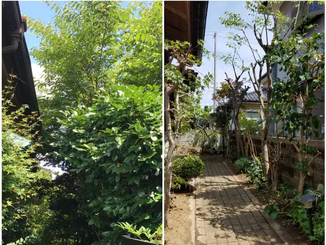 職人歴15年以上！！ 低木・高木など1本からどうぞ！ アフターフォローばっちり☆サービスの画像