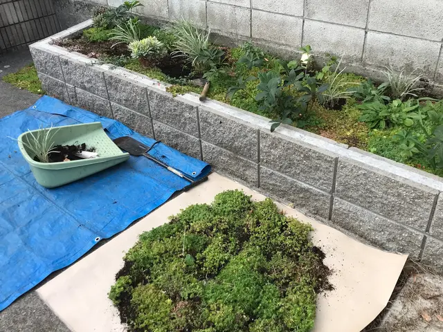 お客様のご希望をお聞きしコミュニケーションをとりながら植栽空間をご提案いたしますサービスの画像