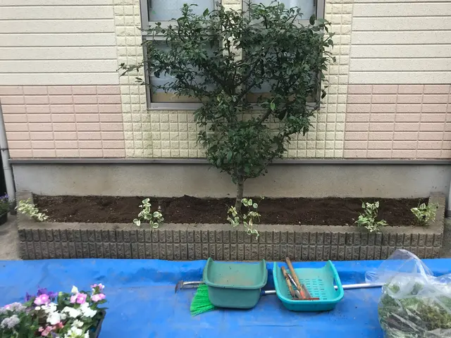 お客様のご希望をお聞きしコミュニケーションをとりながら植栽空間をご提案いたしますサービスの画像