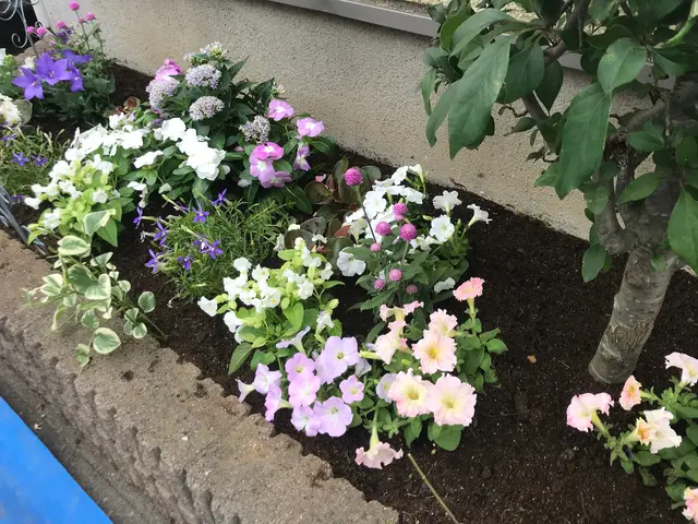 お客様のご希望をお聞きしコミュニケーションをとりながら植栽空間をご提案いたしますサービスの画像