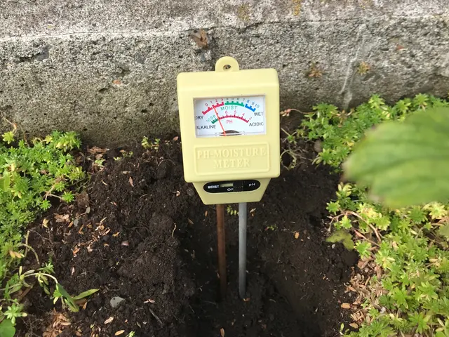 お客様のご希望をお聞きしコミュニケーションをとりながら植栽空間をご提案いたしますサービスの画像