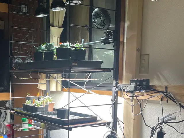 スピード返信★２４H対応★サービスの画像