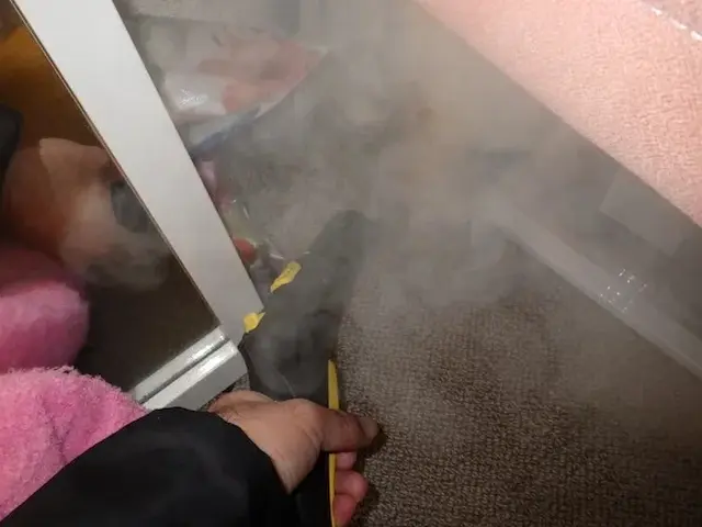 トコジラミ駆除歴10年以上の有資格者多数在籍【再発保証付】【有資格者多数在籍】サービスの画像