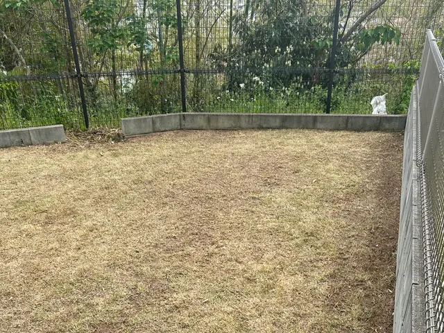 【リピーター続出】妥協なしの超丁寧作業！草むしり・剪定・お庭の整理はここで完結！サービスの画像