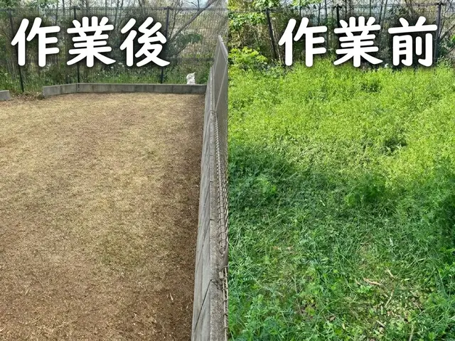 【リピーター続出】妥協なしの超丁寧作業！草むしり・剪定・お庭の整理はここで完結！サービスの画像