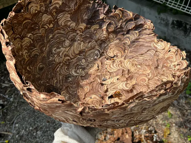 2023年度開業●追加請求無し●事前見積もり●即日可●再発保証●立ち会い無し可！サービスの画像