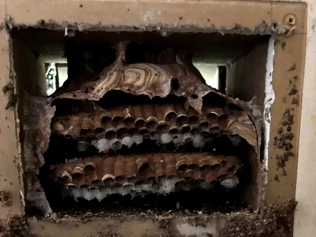 2023年度開業●追加請求無し●事前見積もり●即日可●再発保証●立ち会い無し可！サービスの画像