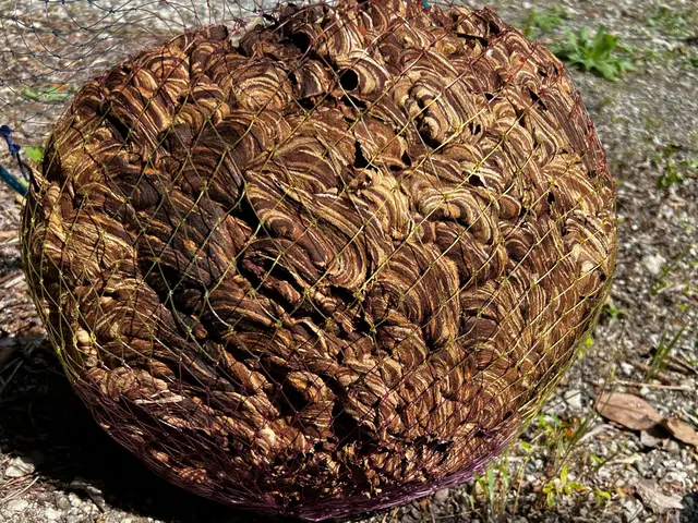 2023年度開業●追加請求無し●事前見積もり●即日可●再発保証●立ち会い無し可！サービスの画像