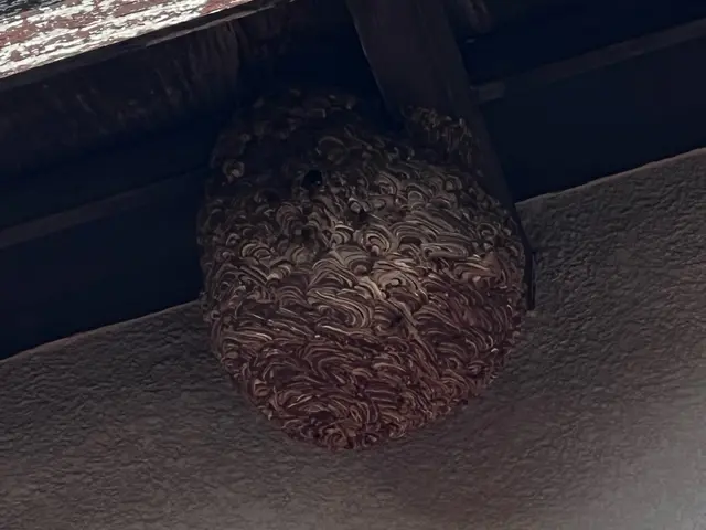 2023年度開業●追加請求無し●事前見積もり●即日可●再発保証●立ち会い無し可！サービスの画像