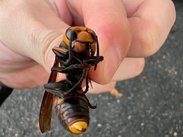 2023年度開業●追加請求無し●事前見積もり●即日可●再発保証●立ち会い無し可！サービスの画像