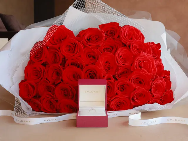 【時間内撮り放題】女性カメラマンが楽しく2人の自然な雰囲気を引き出します！