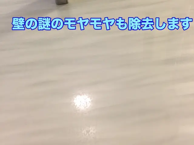 10/31〜高品質な清掃◆2022アワード入選サービスの画像